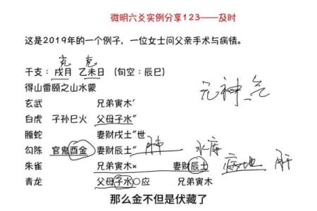 六树明六爻排盘揭秘：如何精准预测人生走向