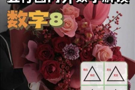 学习五行，解锁生活中的隐藏能量