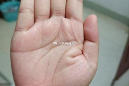 一掌在手，运势全收：揭秘手相奥秘，让你财运亨通、爱情美满