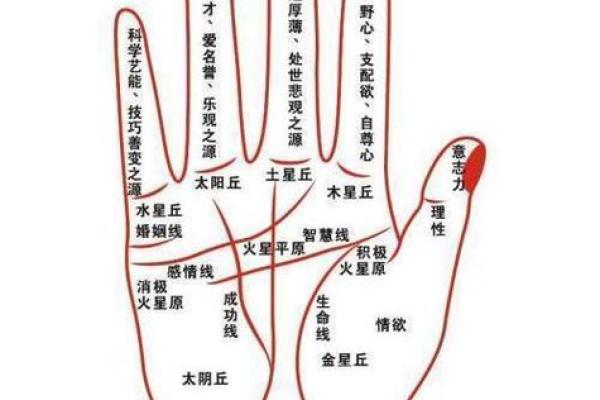 深入命理学：破解人生运势的秘密
