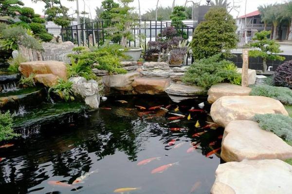 鱼池底结构：揭秘风水布局中的神秘奥秘