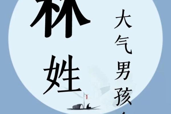 林姓宝宝起名宝典：最适合林姓宝宝的独特名字