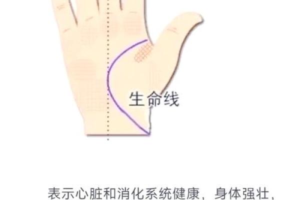 掌中奥秘：手相揭秘，解锁命运之谜