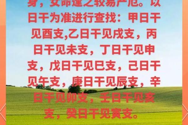 想知道未来吗？免费算命神煞排盘带你走进命运的秘密