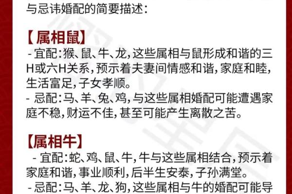 生肖配对大解析：找到你的最佳拍档