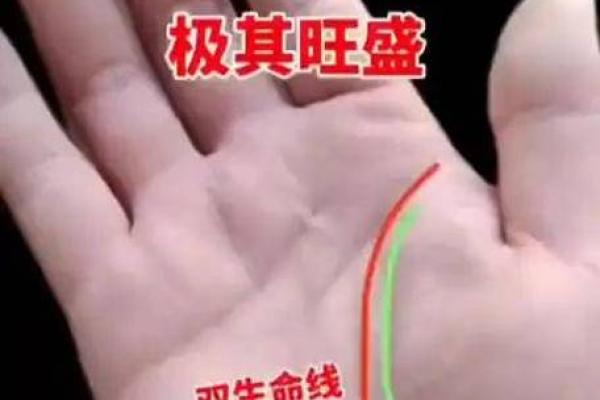 手相揭秘：生命线短的孩子，命运多舛还是天赋异禀？