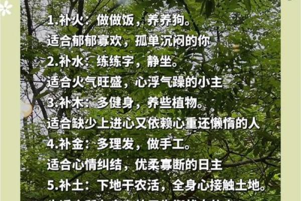 掌握五行,解锁人生潜力的关键 掌握五行,解锁人生潜力的关键