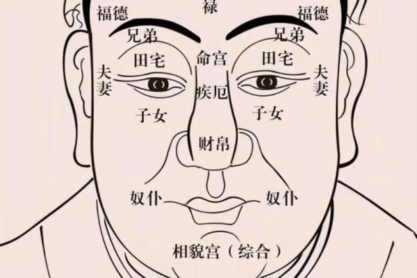 龙虎角神验：面相秘诀，识人高手必备