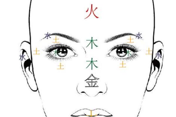 美五行属什么?从五行看美国的独特气质 美五行属什么?从五行看美国的独特气质