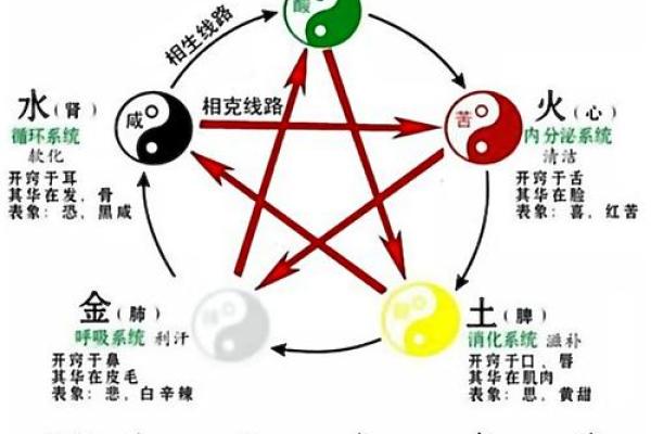 从字五行看你的性格与运势 从字五行看你的性格与运势