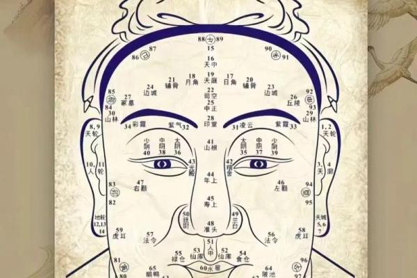 眉头痣相大揭秘：男人运势好坏一眼看穿