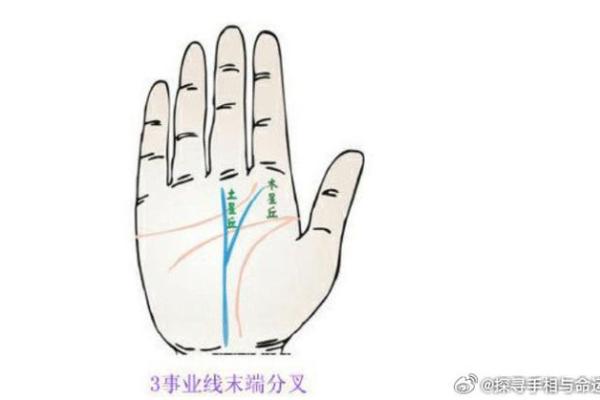揭秘手相中的中指奥秘：财运亨通、事业发达的秘密就在这里