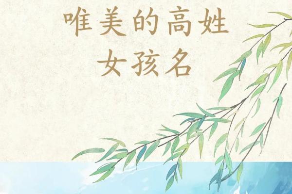 高姓女孩名字精选，开启她的人生新篇章