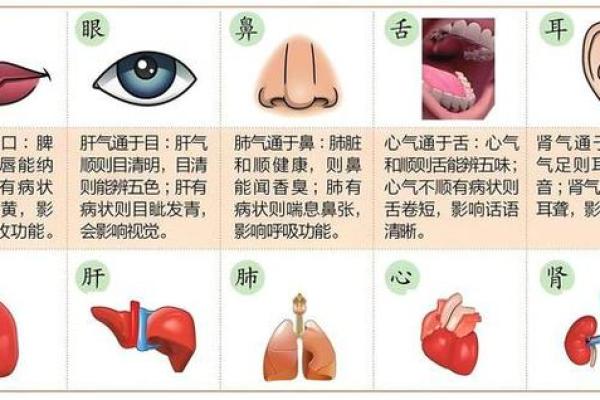 面相揭秘：情绪面相如何影响人面相，塑造你的命运轮廓