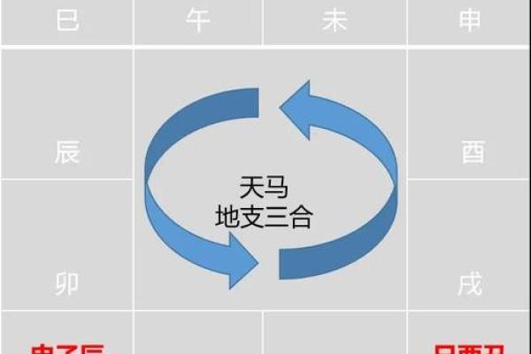 如何利用紫微飞星排盘软件掌握人生关键节点