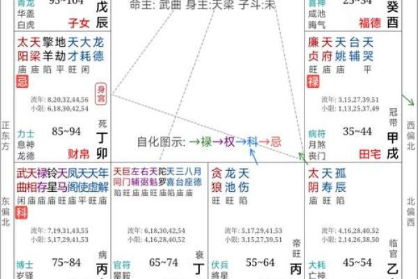 专业紫微斗数排盘解析，让你免费知晓未来运势走势