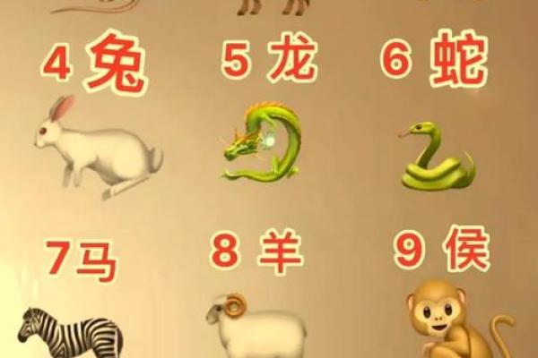 生肖运势大揭秘：揭秘你的生肖命运密码
