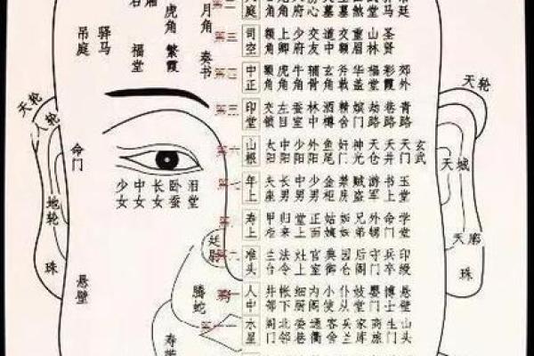 痣相运势大揭秘：你的痣藏着哪些不为人知的秘密？