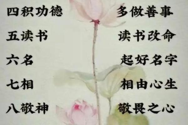 中华命理大师与命运的对话：揭秘天命与人力的关系