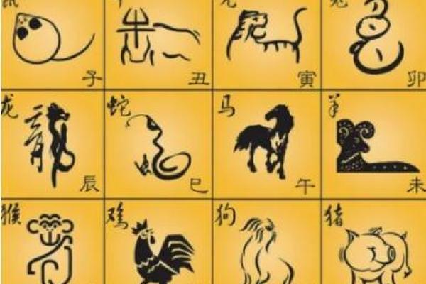 十二生肖大集结：揭秘生肖背后的神奇传说