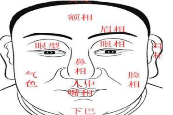面相识人：揭秘12大运势面相特征，一眼看穿命运走向