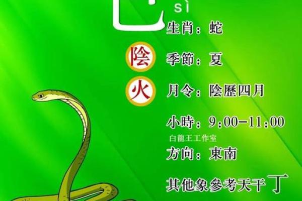 解析八字三巳：背后的命运密码