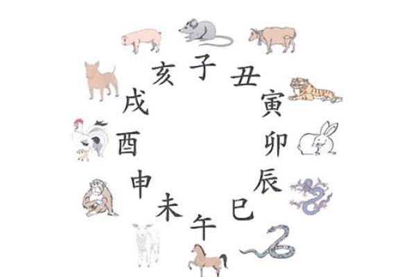 朝打金鸡，晚抱金砖：生肖运势大揭秘
