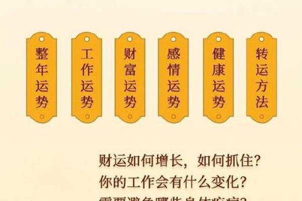 八字财运测试揭秘：如何通过命理提升财富运势