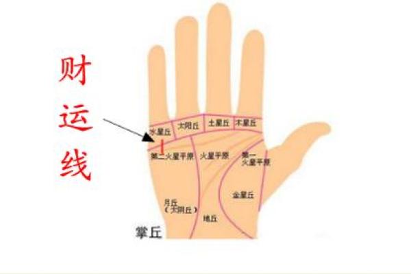 手相四线揭秘：财运、健康、婚姻，一窥命运奥秘