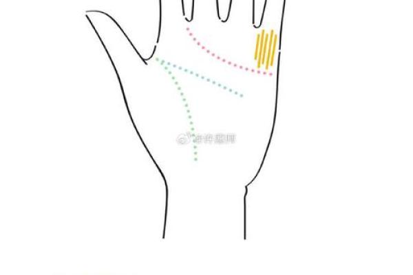 手相四线揭秘：财运、健康、婚姻，一窥命运奥秘