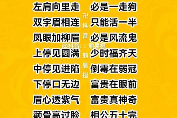 面相解码秘籍