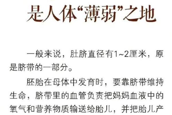 脐中藏宝：揭秘相女脐痣的秘密