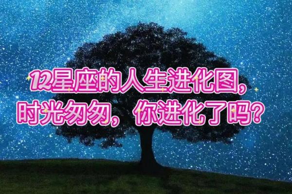 十二星座传说，闪耀个性时光