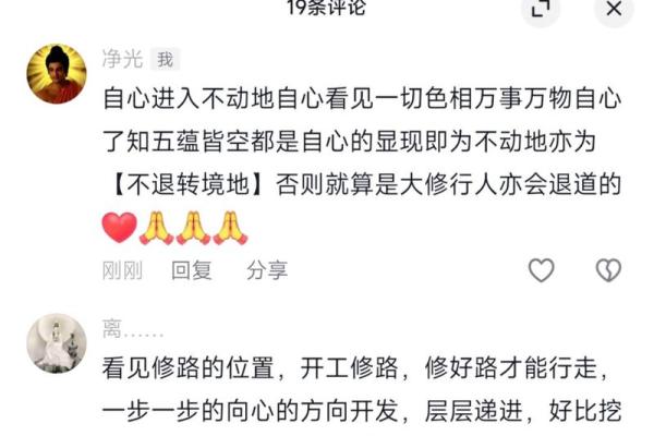净悟居士风水命理的深度解析