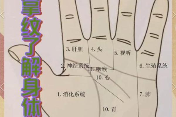 左手手相揭秘：女人必看的手相秘密，运势健康全掌握