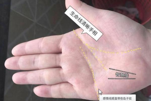 左手手相揭秘：女人必看的手相秘密，运势健康全掌握