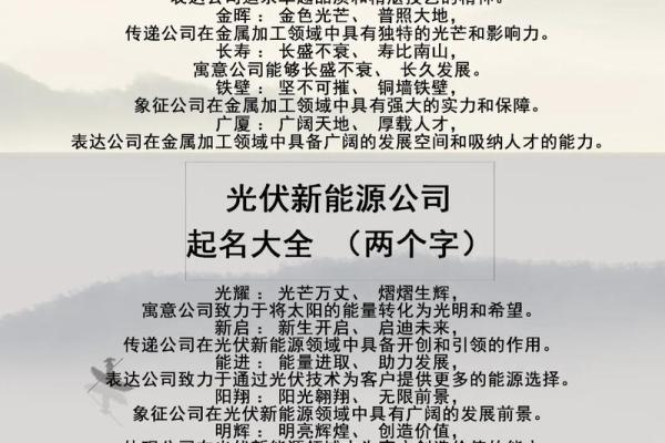 公司两个字起名大全，助你打造独特品牌名称