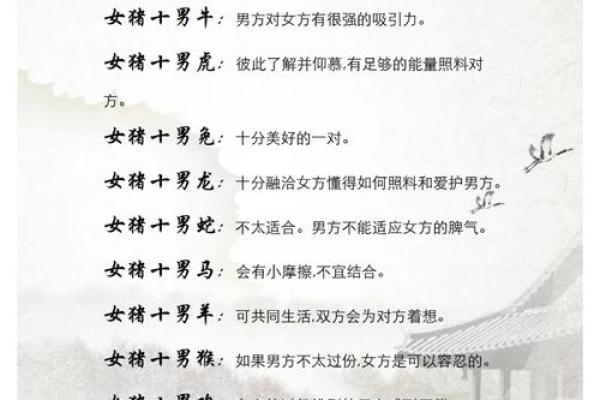 羊年佳人，最佳配对揭晓