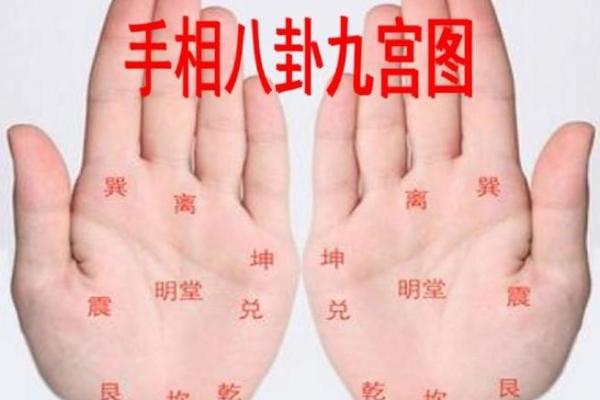 手相子女宫看生男生女，揭秘惊人真相