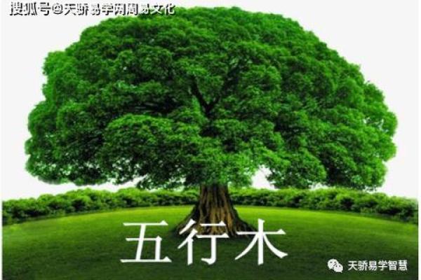 五行缺木如何起名，补木之法让你运势翻倍