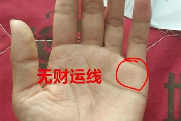 揭秘铁饭碗手相：掌握财运，稳定事业