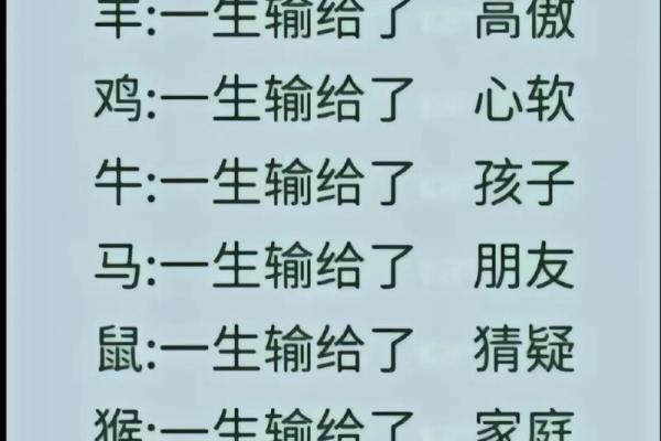 十二生肖配对宝典，破解你的命运密码