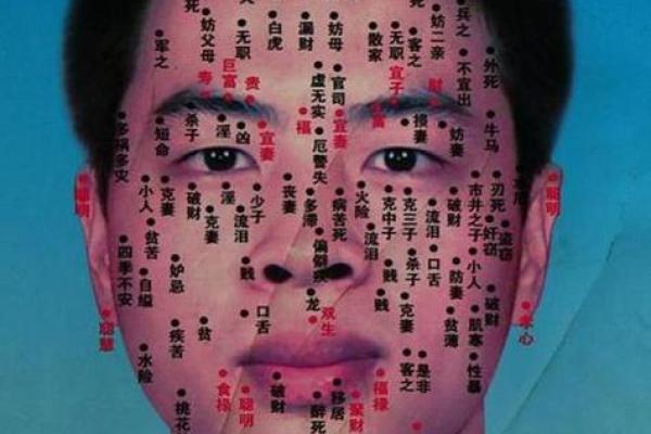 痣相预测：权威专家带你领略面相学的神奇之处