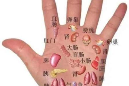 手相揭秘：生命线短的孩子，命运多舛还是天赋异禀？