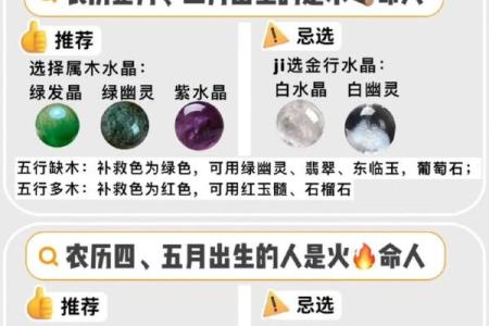 木命者揭秘：揭秘你的生肖属相背后的秘密
