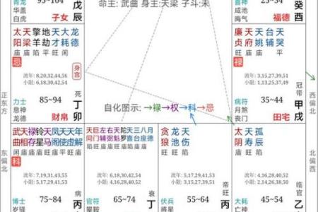 专业紫微斗数排盘解析，让你免费知晓未来运势走势
