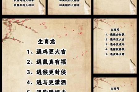 生肖配对大揭秘：你的命中贵人是谁？