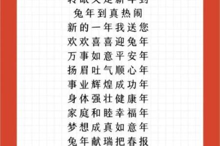 兔年必备：完美搭档生肖揭秘