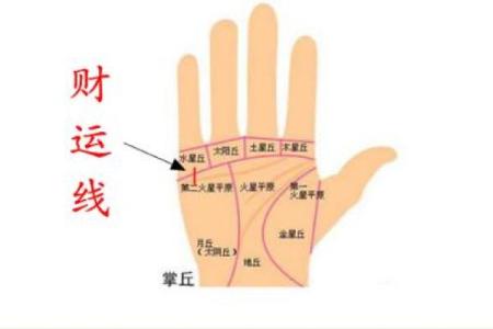 手相四线揭秘：财运、健康、婚姻，一窥命运奥秘