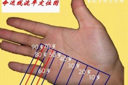 娱乐圈明星手相揭秘：命运线、事业线，谁将红透半边天？